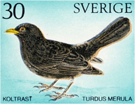 Sweden Blackbird Postage Stamp