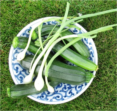 Courgette and Spring Onion